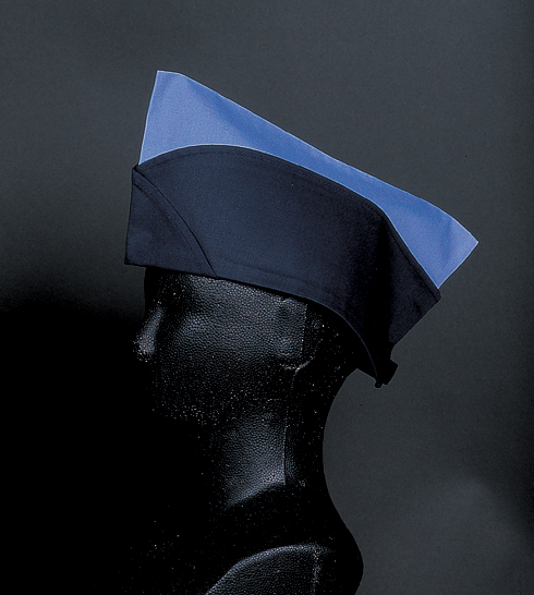 a7696b8435c65d81d8e047dfda331cdf_1461217