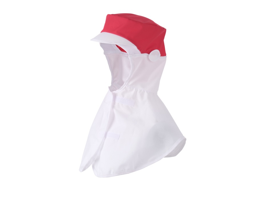 8caedc4f2a58f52358e50a2709923ca9_1626053